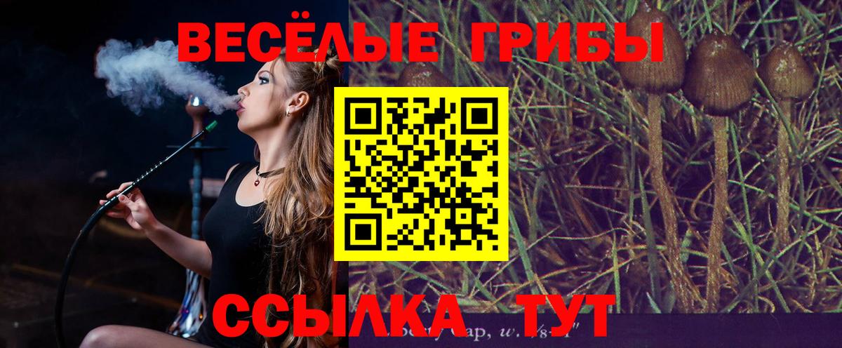 Галлюциногенные грибы мицелий Заводоуковск