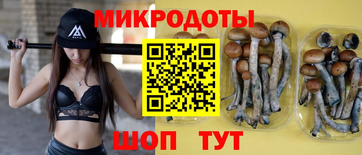 Заводоуковск  Псилоцибиновые грибы мицелий  Вход с VPN  Псилоцибиновые грибы мухоморы 