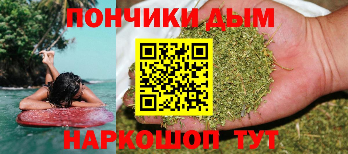 Бошки Шишки ГИДРОПОН Заводоуковск